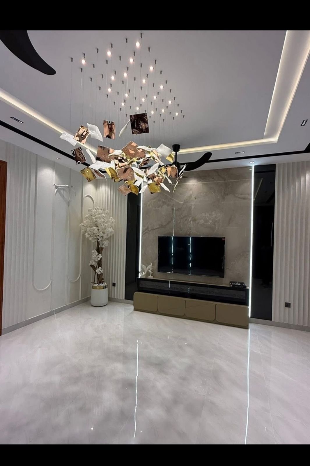 WhatsApp-Image-2026-03-09-at-4.01.34-PM